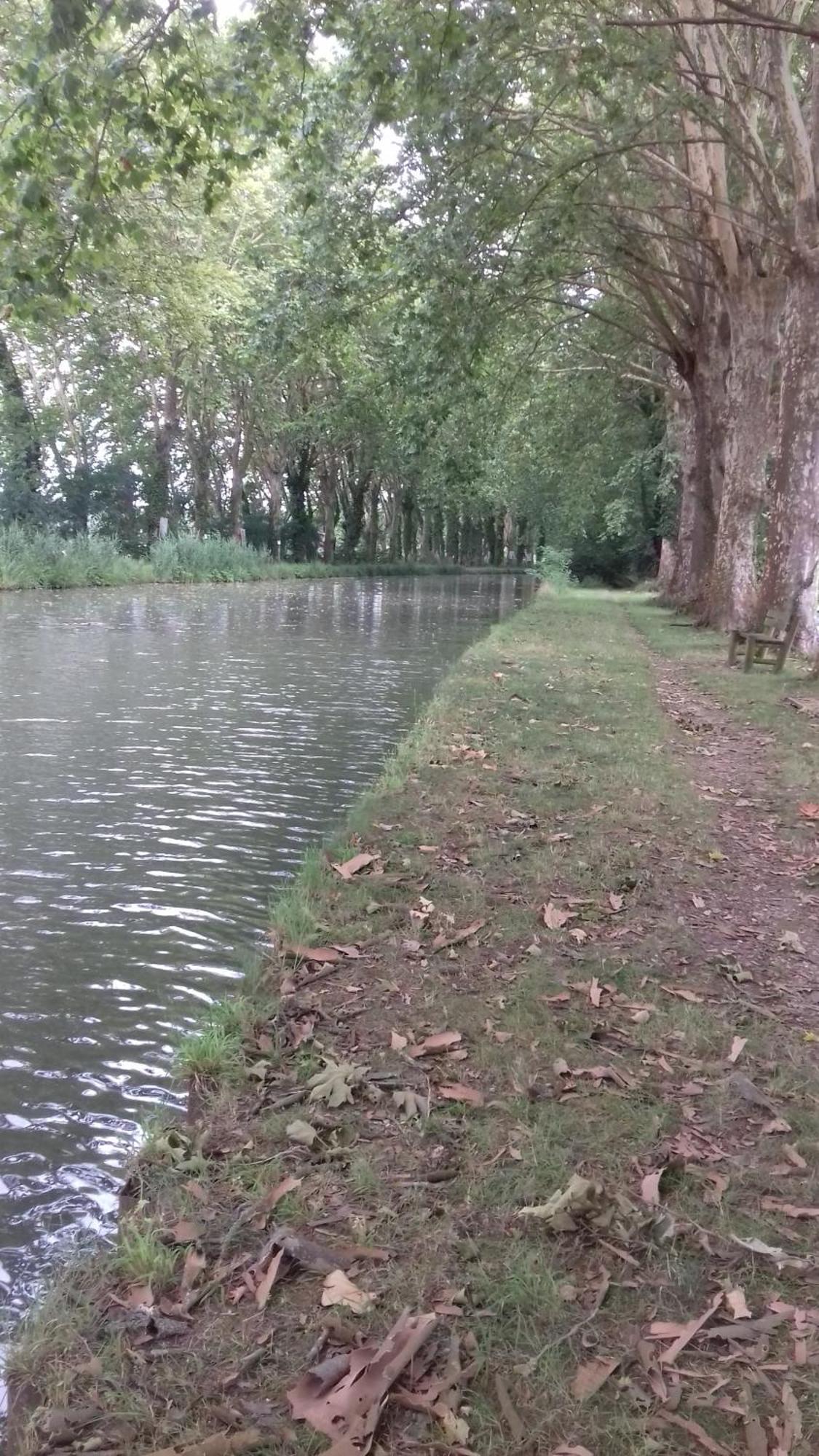 Appartamento Le Studio De La Casa Fourquaise Fourques-sur-Garonne Esterno foto
